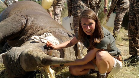 Dierendokter in het wild